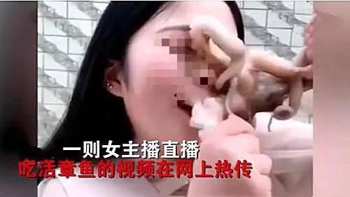 娱乐吃瓜酱的作品真诚才是必杀计,娱乐吃瓜酱的“必杀计”揭秘