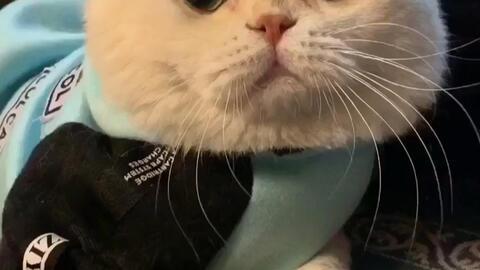 娱乐吃瓜君说刘二豆