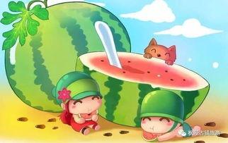 娱乐吃瓜君和罗小猫,揭秘娱乐圈背后的趣味故事