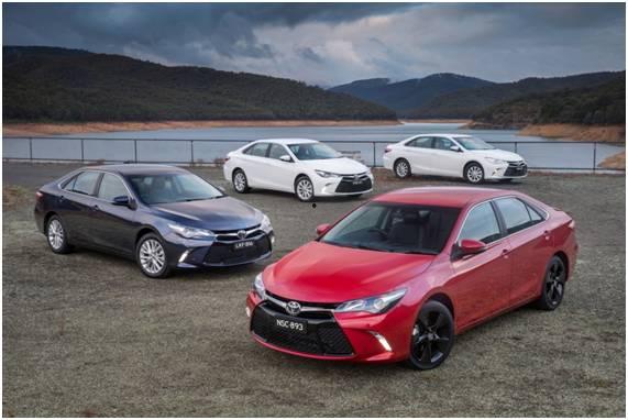 吃瓜娱乐圈camry,揭秘Camry的瓜田传奇