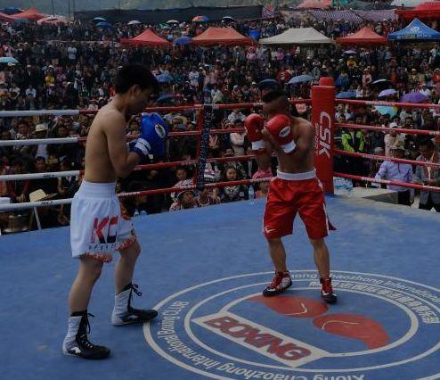 吃瓜娱乐拳击比赛视频大全,精彩拳击比赛视频大盘点