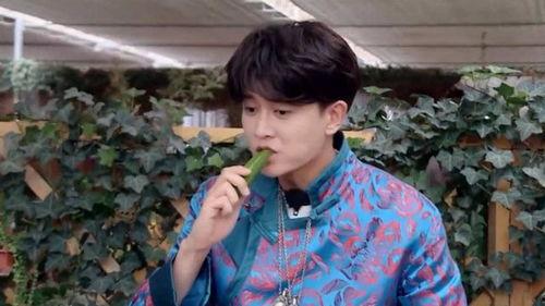 娱乐吃瓜刘宇宁,娱乐吃瓜界的风云人物