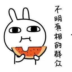 娱乐吃瓜常用bgm,盘点那些让人欲罢不能的bgm